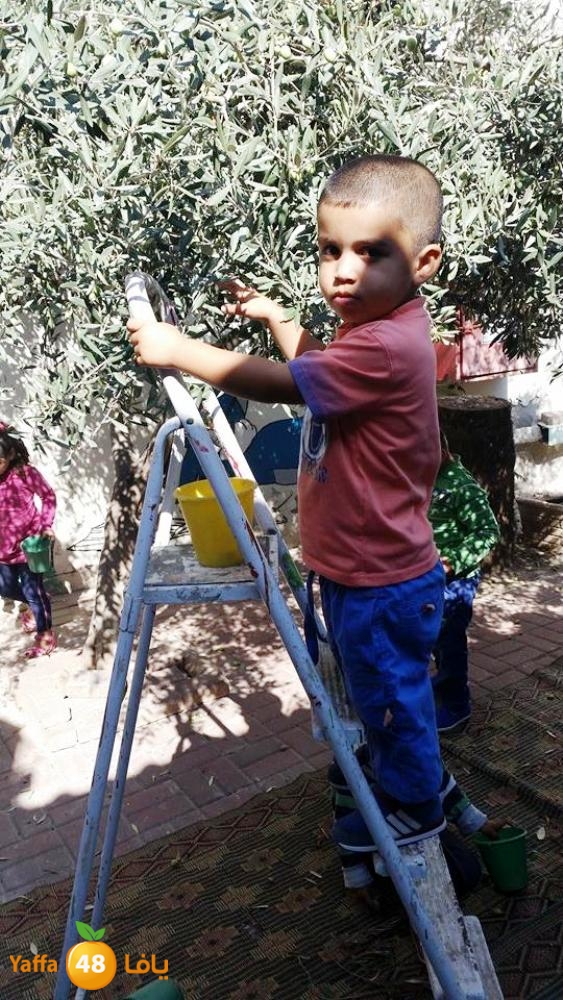 alkeram zatoon3 (3).jpg